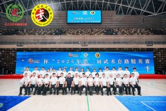 武动长安·拳承千年丨“亿太极杯”2025武术套路精英赛完美收官