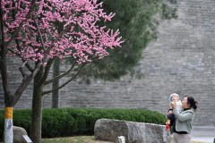 千年古都的“绿野仙踪” 西安建设公园城市见闻