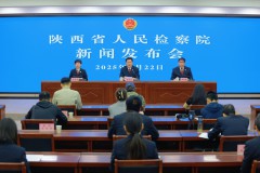 2024年陕西检察机关办理各类知识产权案件549件