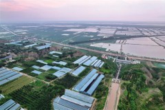 东雷抽黄灌区：智慧管水助高效用水