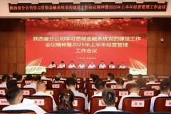 中国人寿保险股份有限公司陕西省分公司召开全省系统学习贯彻金融系统党的建设工作会议精神暨2025年上半年经营管理工作会议