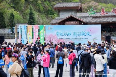 西安秦岭生态旅游季暨太平国家森林公园第二十二届紫荆花季盛大启幕