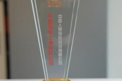 喜报！中国人寿寿险公司荣获“年度最佳上市保险公司”奖项