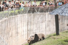 清明假期陕西旅游市场持续火热