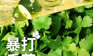 「好多好多香菜皮蛋牛肉比萨」重生归来