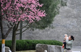 千年古都的“绿野仙踪” 西安建设公园城市见闻