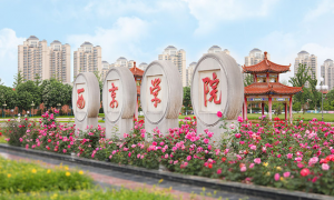 100%博士师资，名企合作！西京学院这个专业到底有多牛？