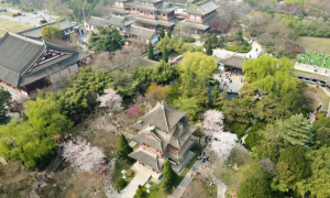五一期间西安多家博物馆延长开放时间