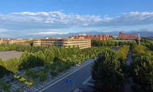 “新能源”行业，正迎来新风口！