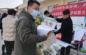 秦岭青色迎君来 劝君勿负春意浓