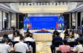 共话发展机遇 陕西—中亚经贸合作对接会举办