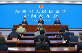 2024年陕西检察机关办理各类知识产权案件549件