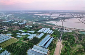 东雷抽黄灌区：智慧管水助高效用水