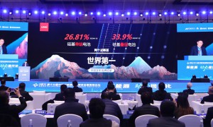 第十七届中国新能源国际博览会暨高峰论坛开幕
