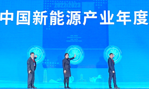 第十七届中国新能源国际博览会暨高峰论坛开幕