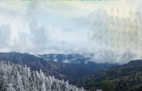 西安市2023年六五环境日公益宣传片《写给大地的诗》发布