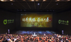 “国寿陕耀 星悦大秦”  中国人寿寿险陕西省分公司成功举办2025年VIP客户嘉年华活动