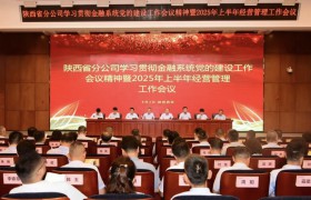 中国人寿保险股份有限公司陕西省分公司召开全省系统学习贯彻金融系统党的建设工作会议精神暨2025年上半年经营管理工作会议