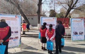 维护妇女儿童权益 促进社会和谐发展