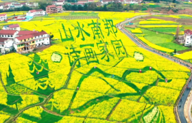 约你在花海 等你在汉中