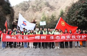 陕建七建集团：“植”此青绿 “树”连成荫