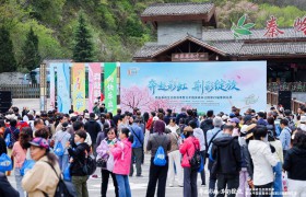 西安秦岭生态旅游季暨太平国家森林公园第二十二届紫荆花季盛大启幕