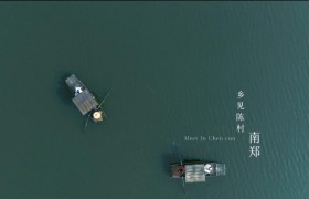 约你在花海 等你在汉中