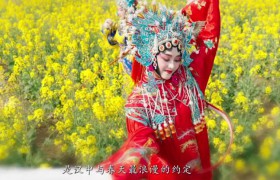 汉中文旅宣传短片《花舞汉中》带你感受