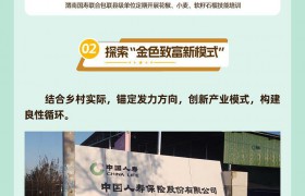 一图概览中国人寿陕西分公司乡村振兴进阶之路
