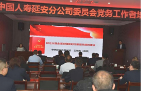 坚守保险初心 助推乡村振兴  服务延安经济社会高质量发展