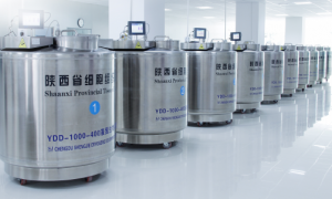 开启健康新可能 西安也能存储 iPS 细胞了——九州集团 “生命方舟 iPS 细胞存储项目” 在西安正式发布