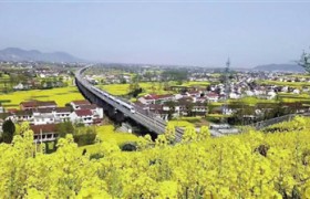 坐上火车赏汉中油菜花海