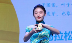 十年赛事铸辉煌 “杨马”星光耀长安