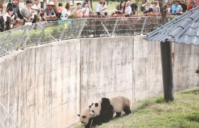 清明假期陕西旅游市场持续火热
