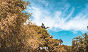 2025杨凌农科城马拉松赛鸣枪开跑