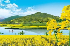 2023中国最美油菜花海汉中旅游文化节活动精彩来袭