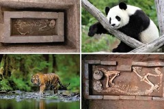 中国唯一 汉文帝霸陵动物殉葬坑入选2023世界十大考古发现